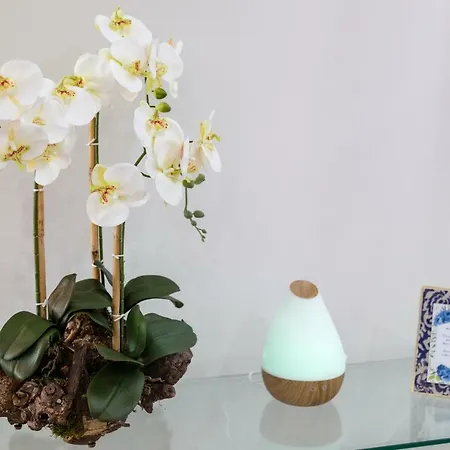 Nyaraló House Rodrigues Água de Pau